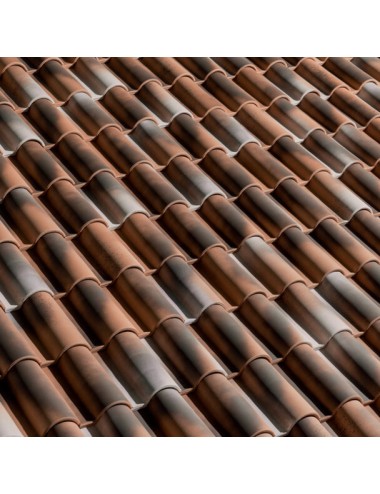 Finale di Colmo / BMI Wierer / Nova Flexa / Anticata e Medievale