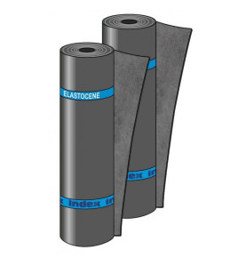 Guaina Index Elastocene