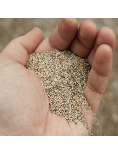 Sabbia essiccata VAGA VG16SS da 25 kg. mm 0,3÷1,25