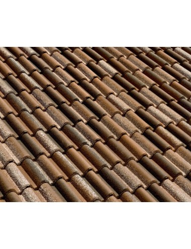 Tegola Wierer Cemento / Coppo di grecia / coppo vecchio