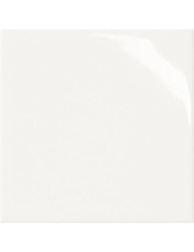 Cotto petrus trial bianco lucido 20x20 s1