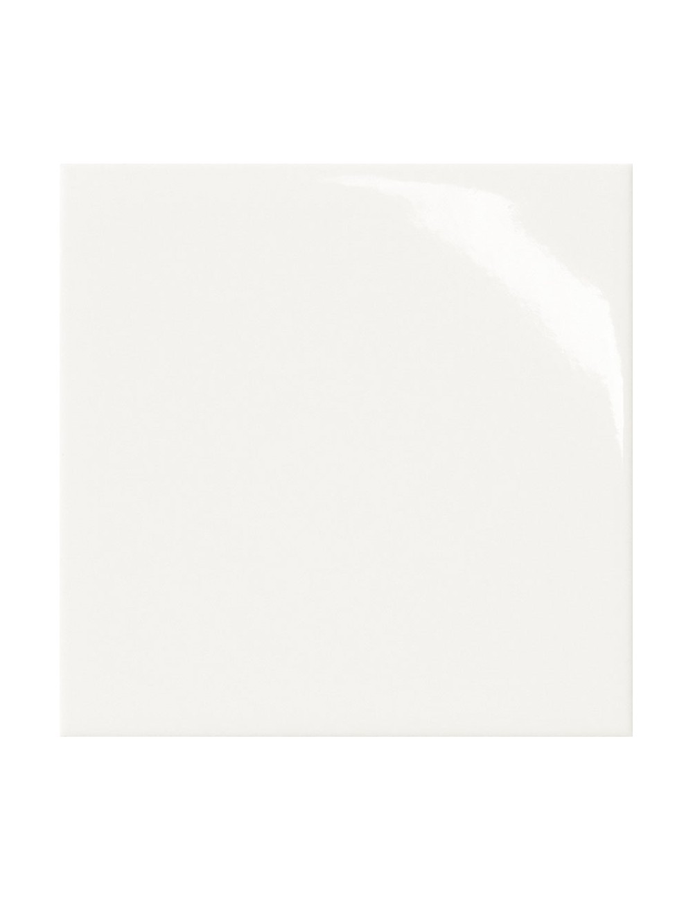 Cotto petrus trial bianco lucido 20x20 s1