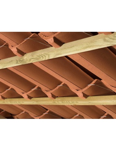 Coppi rossi da 45 c/nasello cottosenese