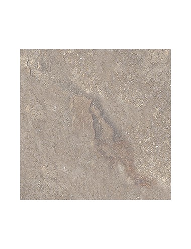 Cotto Petrus / Sassone out / 15,3x31 / R11