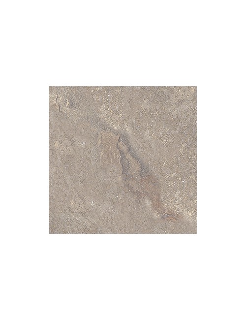 Cotto Petrus / Sassone out / 15,3x31 / R11