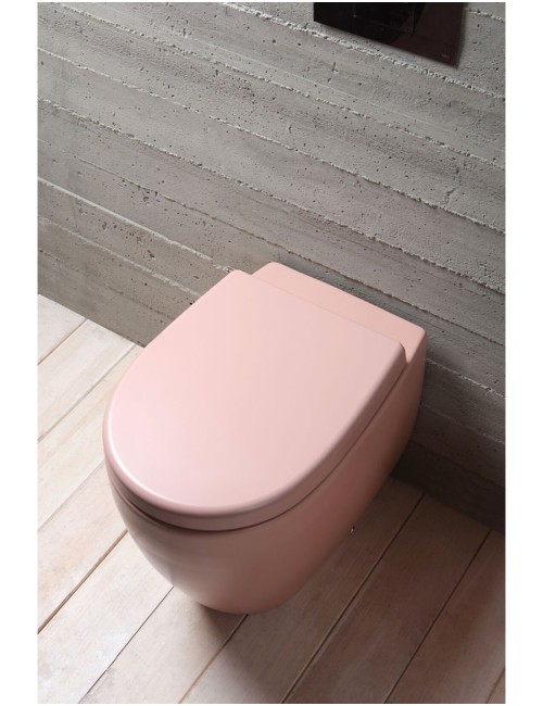 Genesis coprivaso ch.rall.(per vaso senza brida)cm 50 bdc fard(rosa)