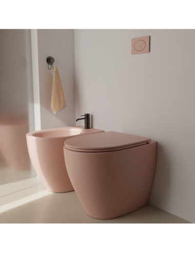 Genesis coprivaso ch.rall.(per vaso senza brida)cm 50 bdc fard(rosa)