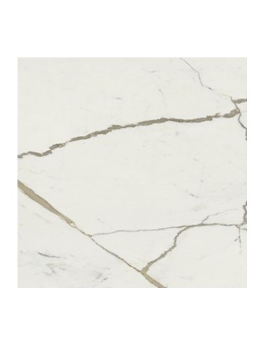 Gres Porcellanato Cotto Petrus / Vision Matt Calacatta ORO 60x120