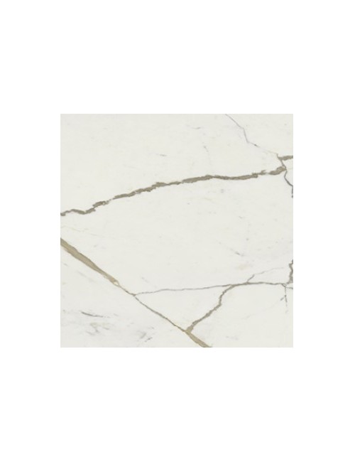 Gres Porcellanato Cotto Petrus / Vision Matt Calacatta ORO 60x120