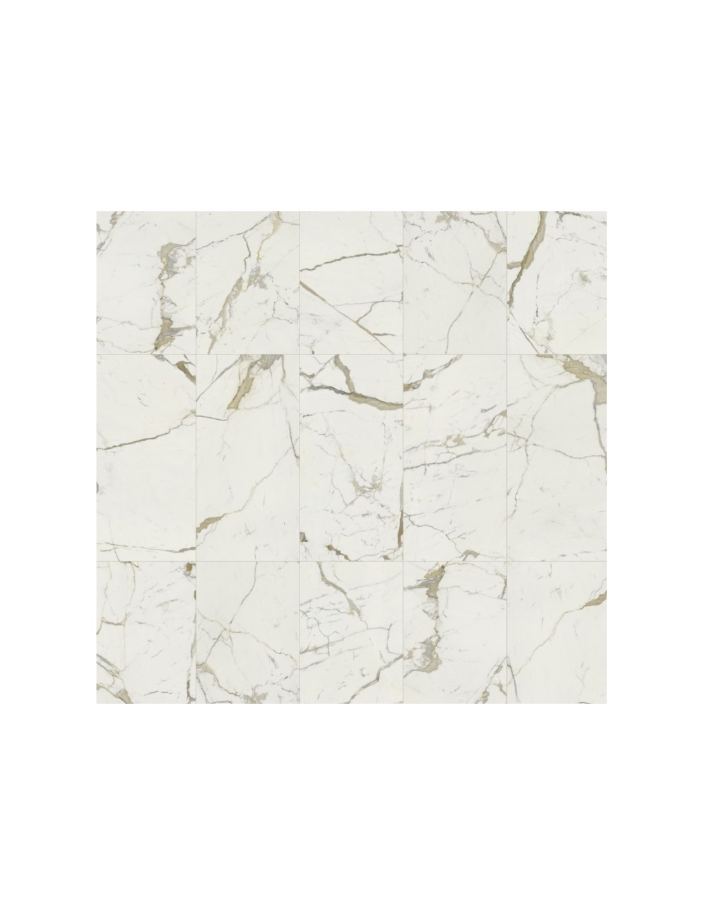 Gres Porcellanato Cotto Petrus / Vision Matt Calacatta ORO 60x120