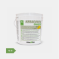 Kerakover Quarzite Pittura / 14 lt / Bianco 1001
